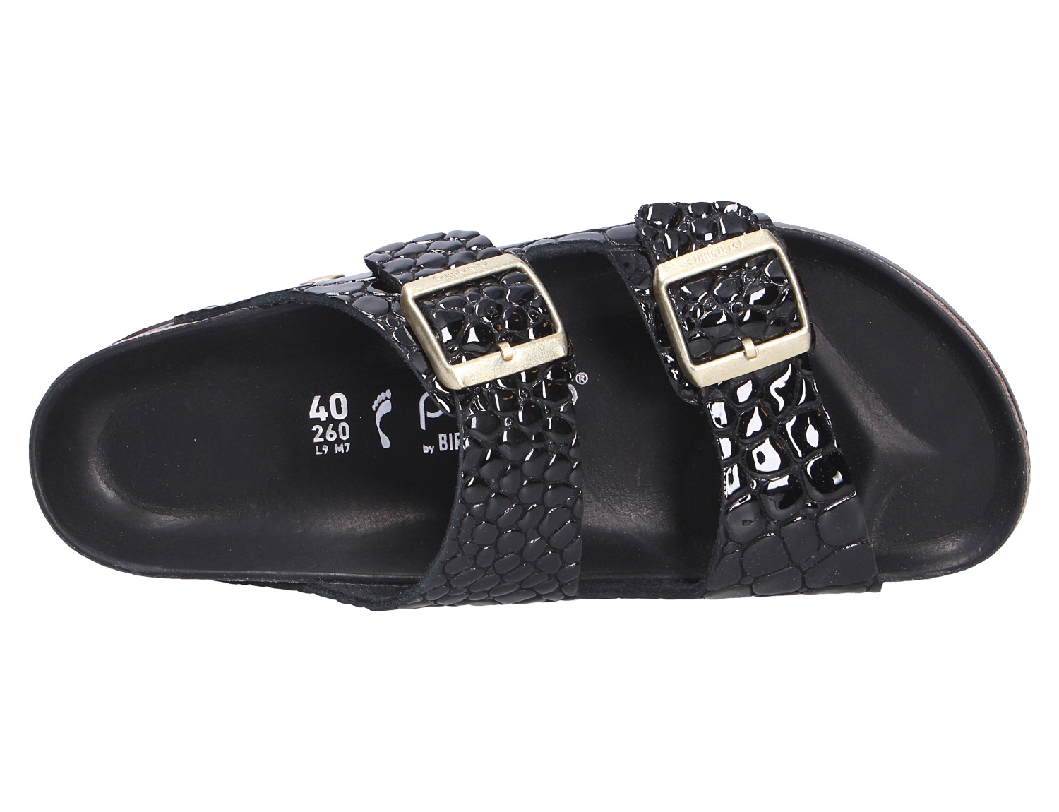 Arizona PAP Flex Platform Arizona PAP Flex Platform