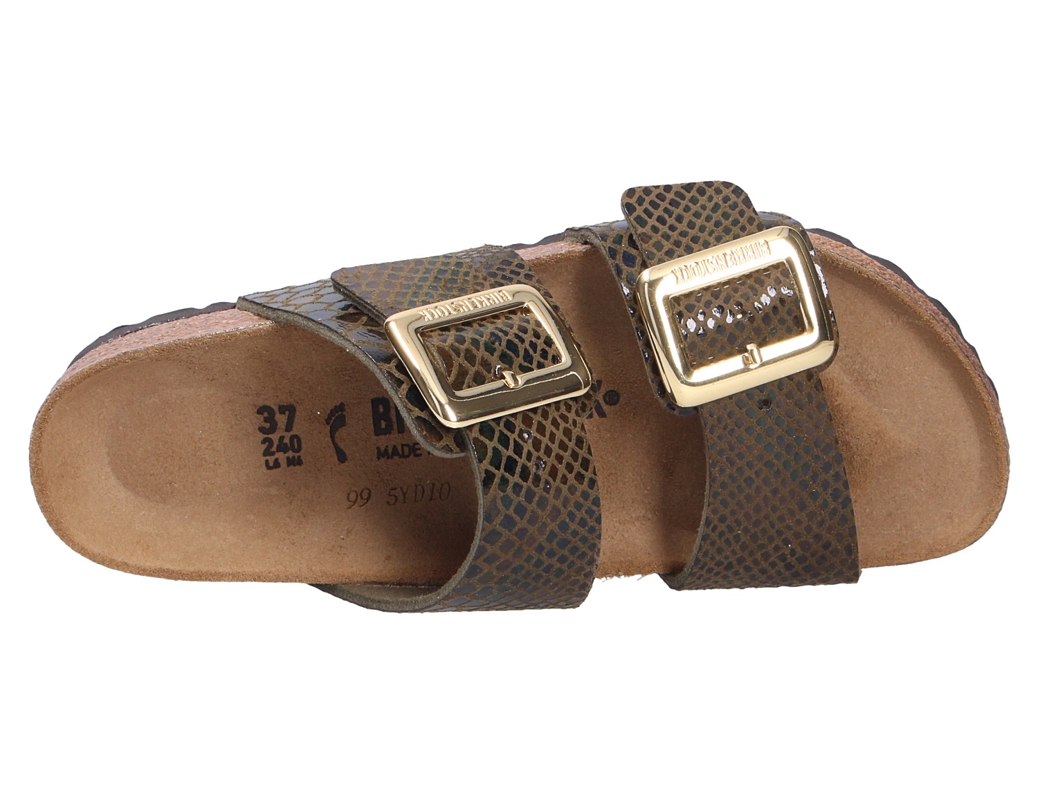 Sydney Cushion Buckle
